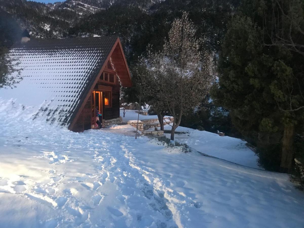 Chalet In The Forest Kalavryta Buitenkant foto