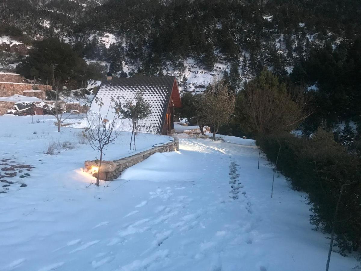 Chalet In The Forest Kalavryta Buitenkant foto