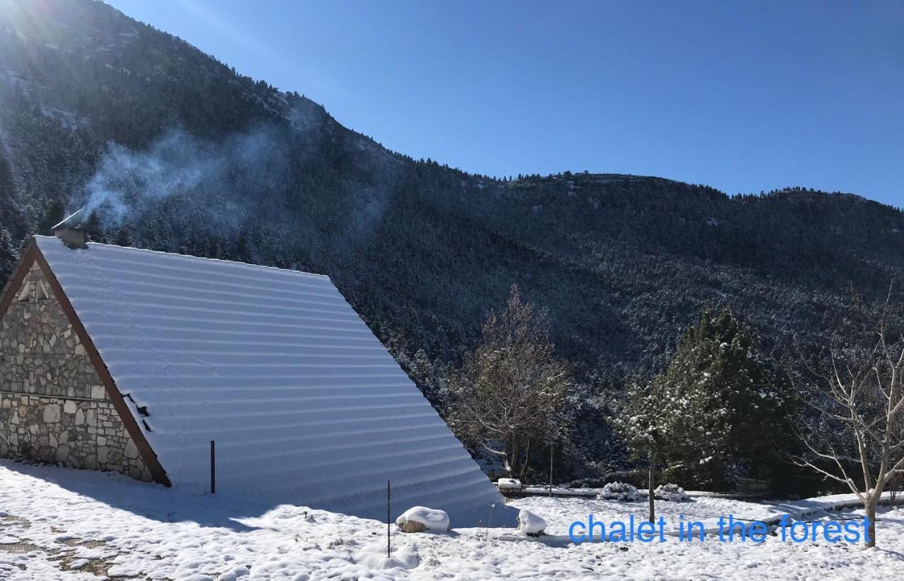 Chalet In The Forest Kalavryta Buitenkant foto