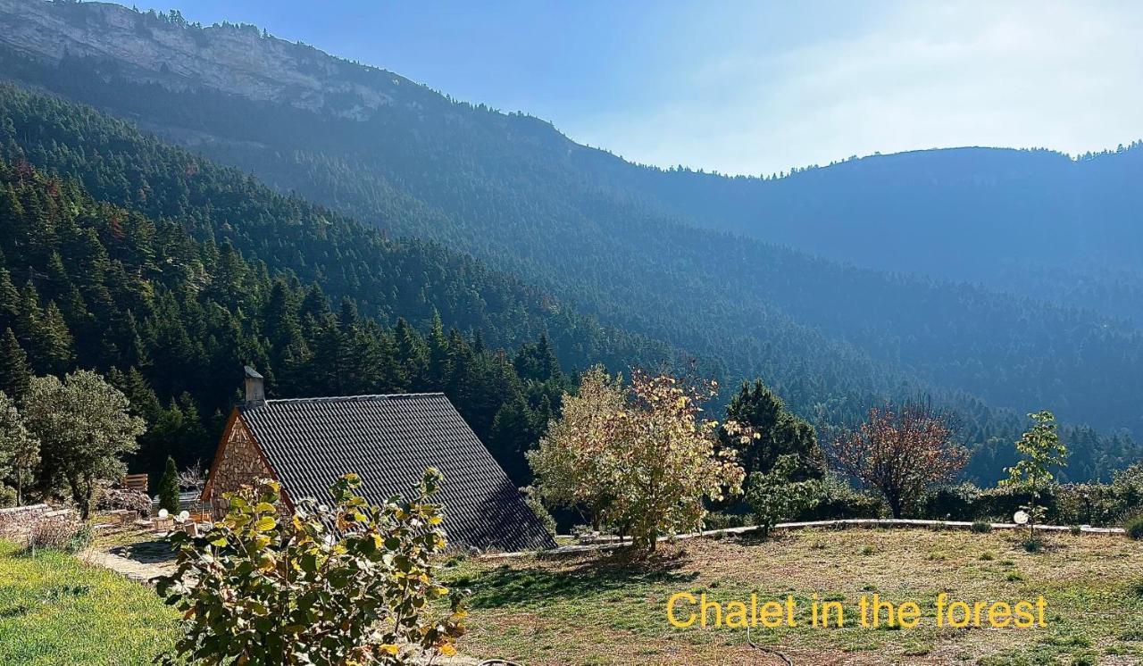 Chalet In The Forest Kalavryta Buitenkant foto