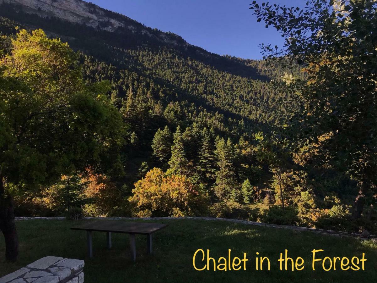 Chalet In The Forest Kalavryta Buitenkant foto