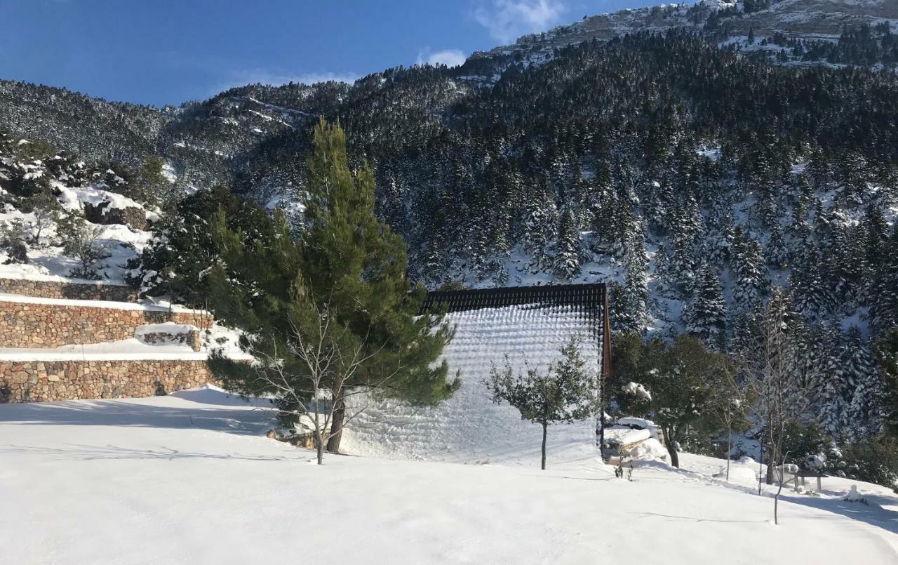 Chalet In The Forest Kalavryta Buitenkant foto