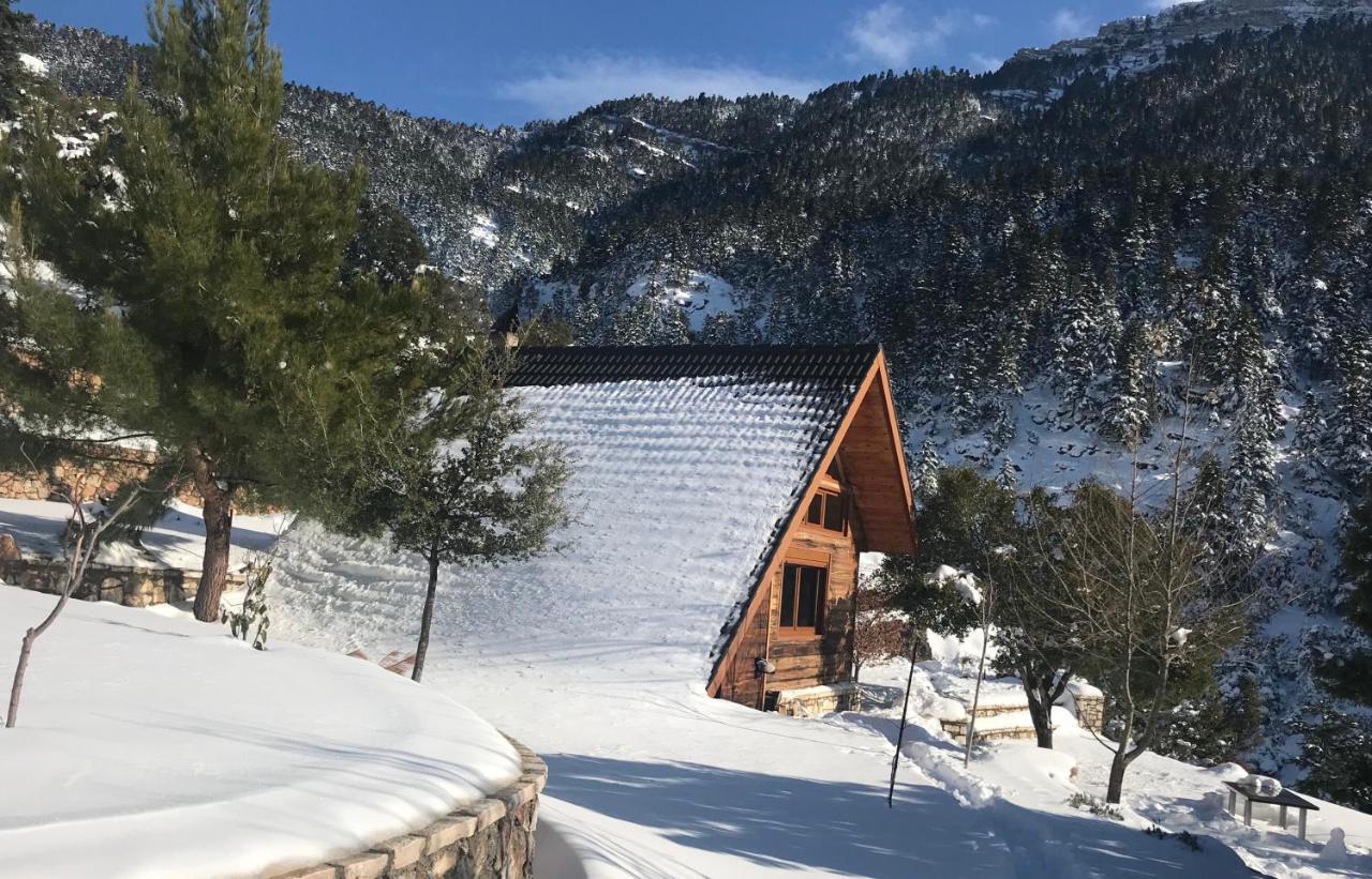 Chalet In The Forest Kalavryta Buitenkant foto
