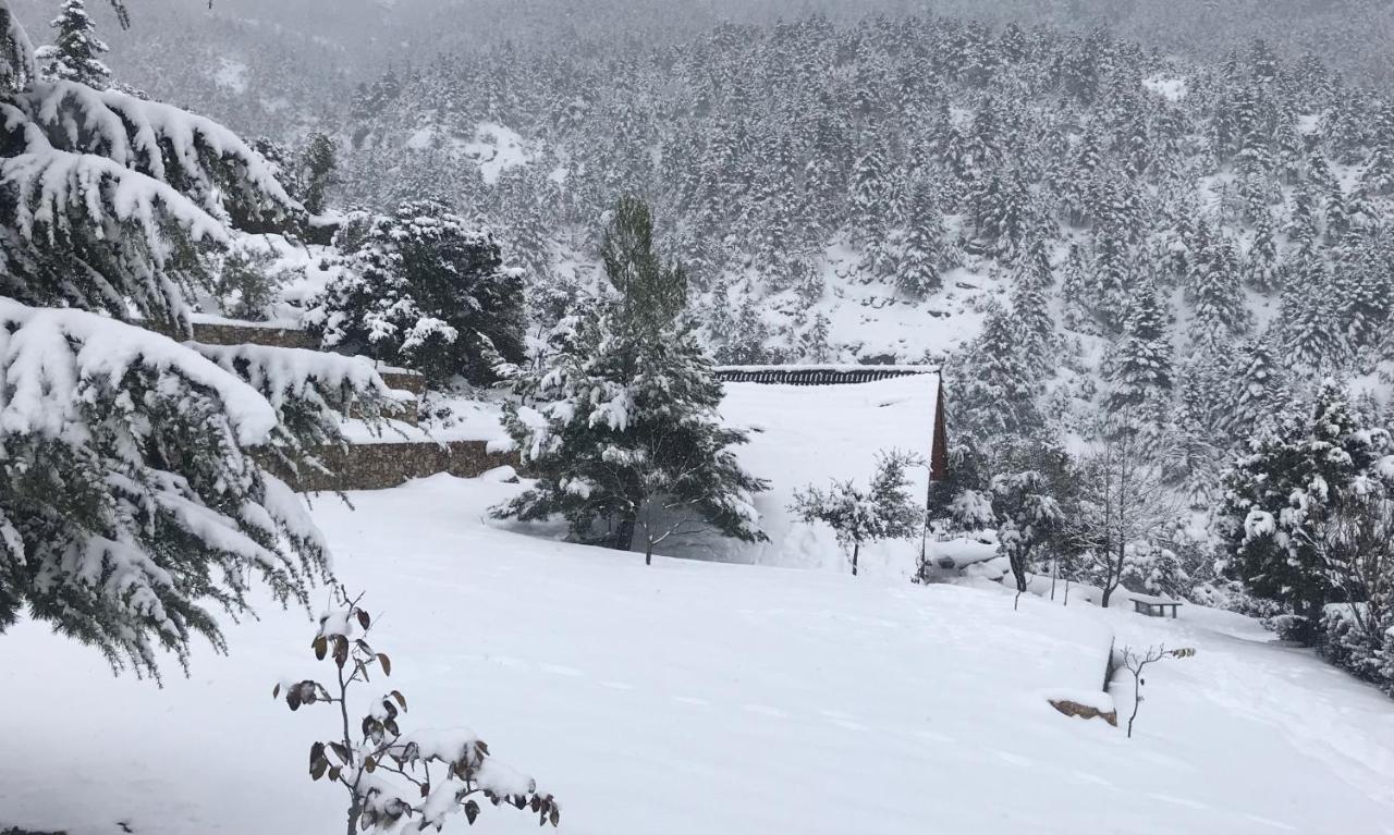 Chalet In The Forest Kalavryta Buitenkant foto