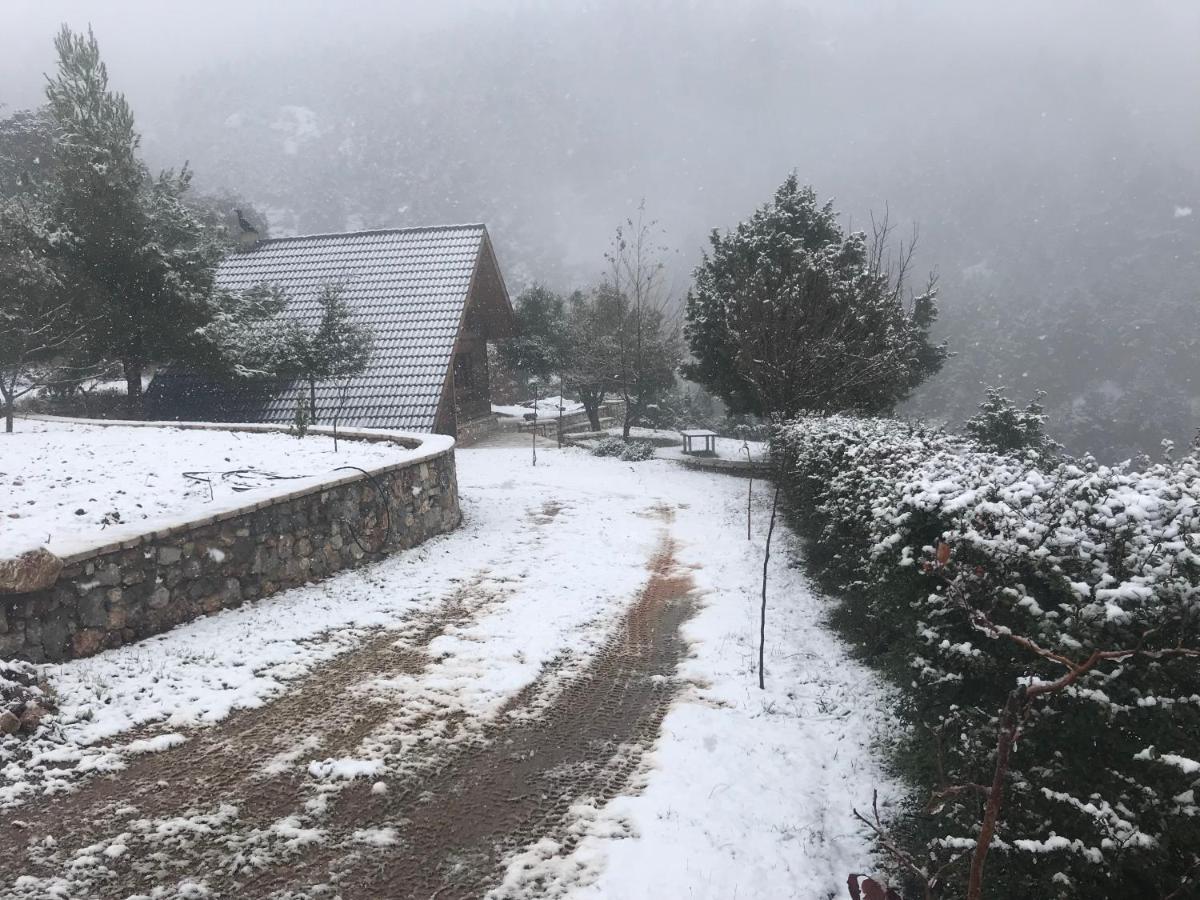 Chalet In The Forest Kalavryta Buitenkant foto