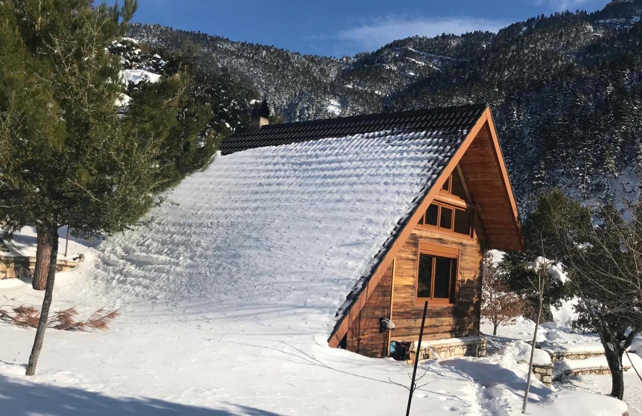 Chalet In The Forest Kalavryta Buitenkant foto